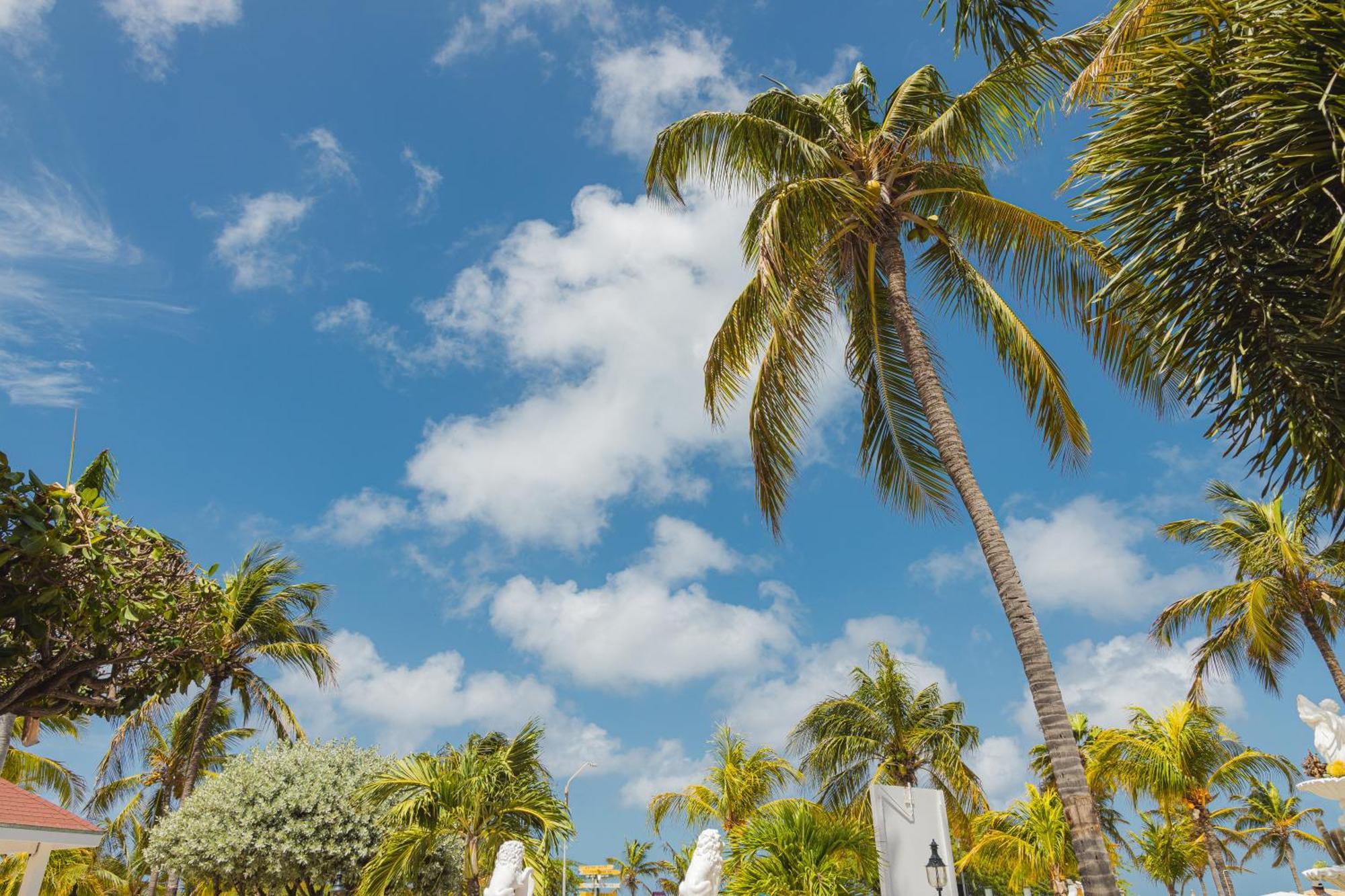 Amsterdam Manor Beach Resort Palm Beach Eksteriør billede