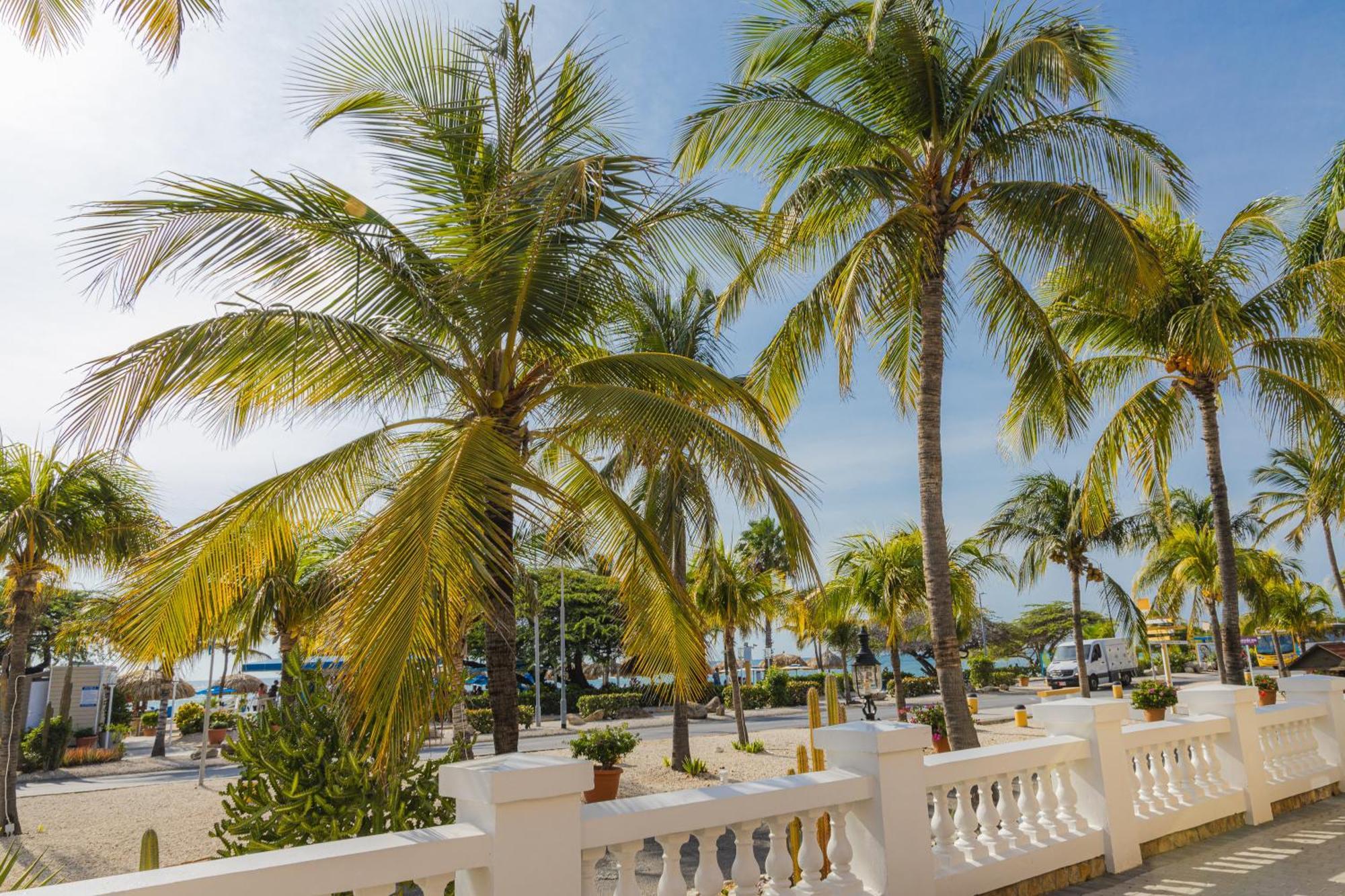 Amsterdam Manor Beach Resort Palm Beach Eksteriør billede